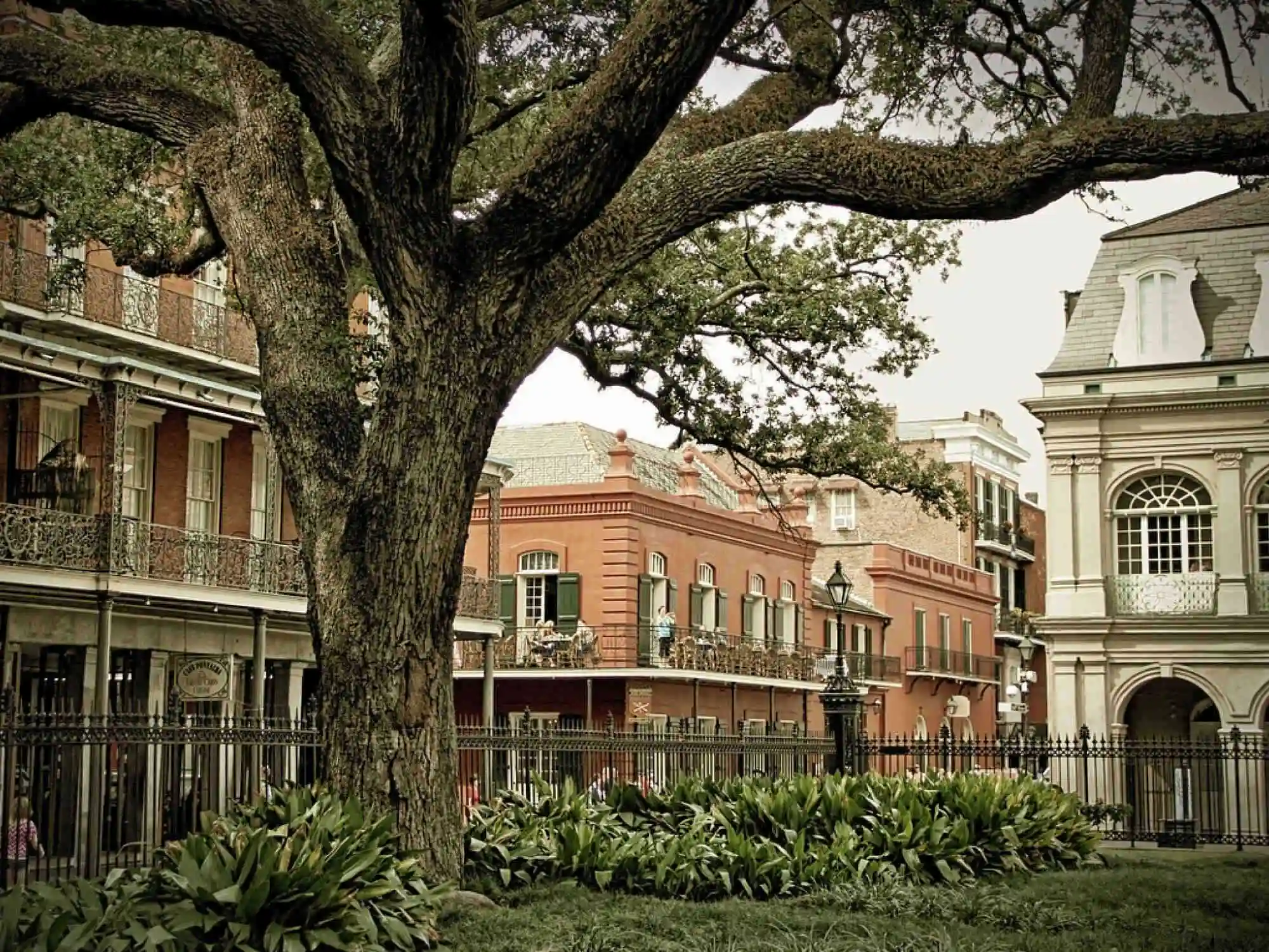 The Garden District New Orleans Louisiana image