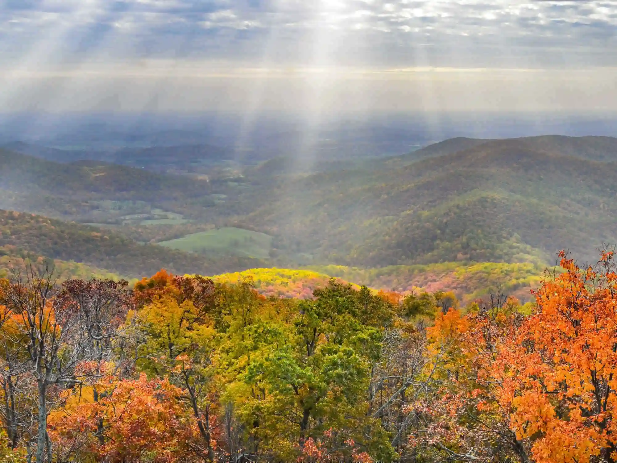 Eine landschaftlich reizvolle Fahrt durch den ShenandoahNationalpark in Virginia German image