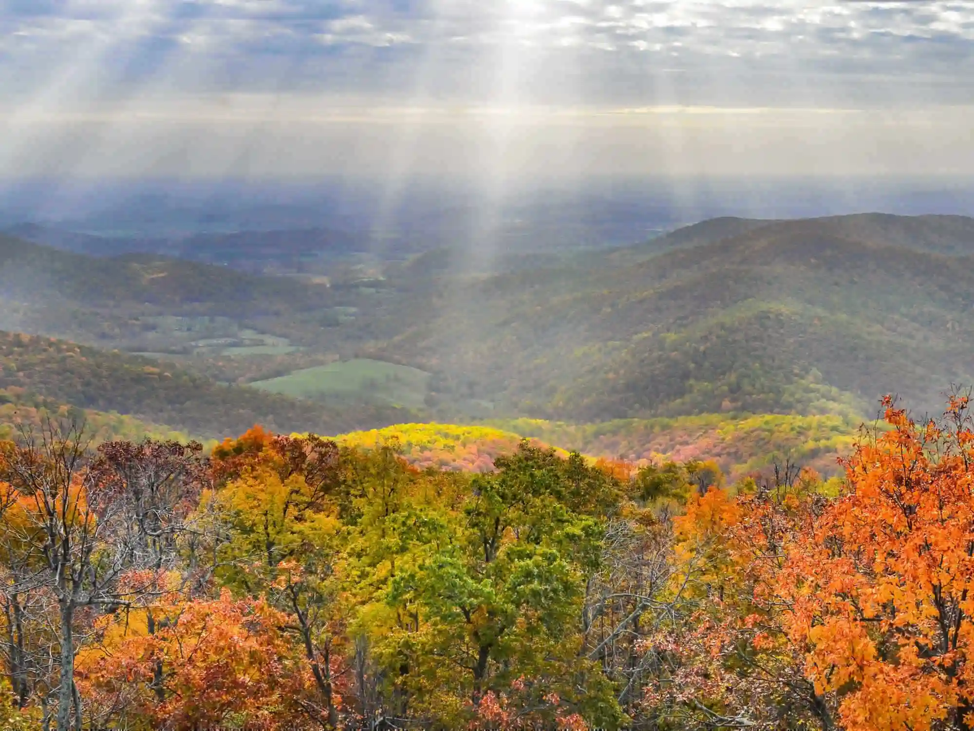 Scenic Skyline SelfGuided Driving Tour Through Shenandoah National Park Virginia image