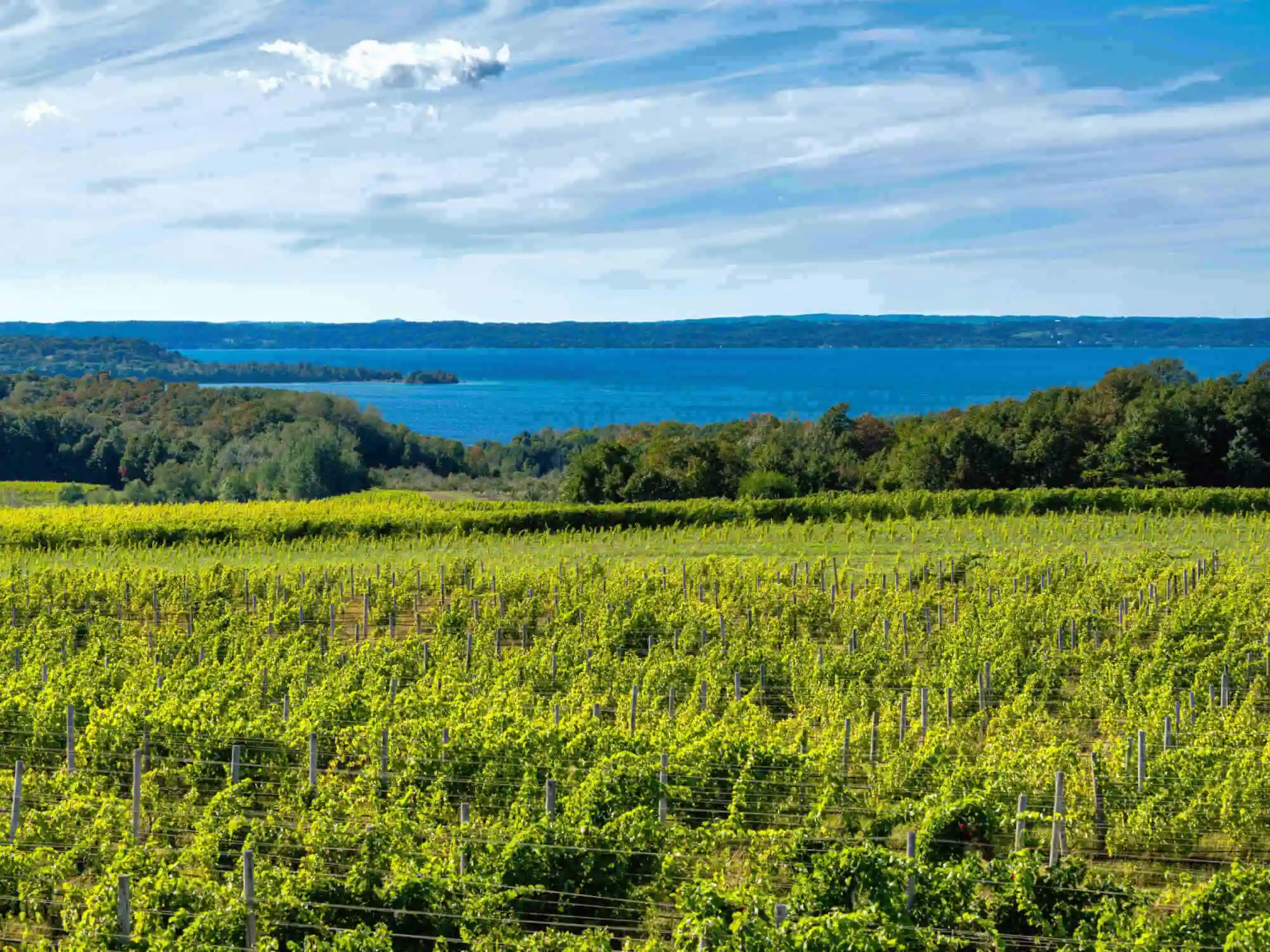 Old Mission Peninsula SelfGuided Driving Tour from Traverse City Wineries Bays  Lighthouse image