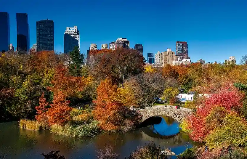 Get Lost in Central Park tour image
